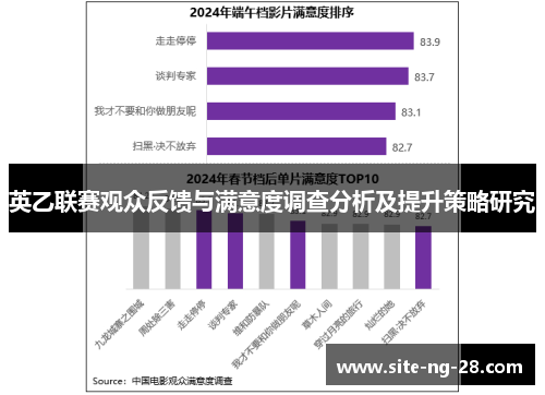 英乙联赛观众反馈与满意度调查分析及提升策略研究
