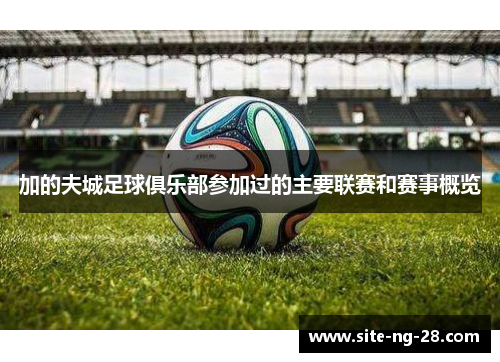 加的夫城足球俱乐部参加过的主要联赛和赛事概览 加的夫城足球俱乐部参加过的主要联赛和赛事概览