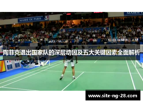陶菲克退出国家队的深层动因及五大关键因素全面解析 陶菲克退出国家队的深层动因及五大关键因素全面解析